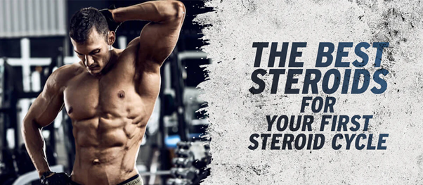 Steroid Cycle